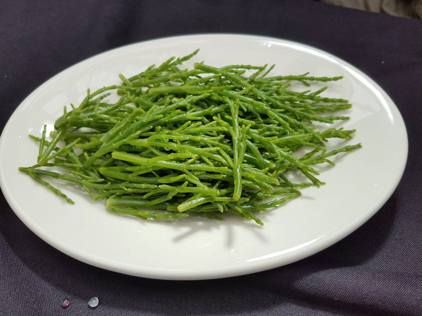 Fresh Sea Asparagus