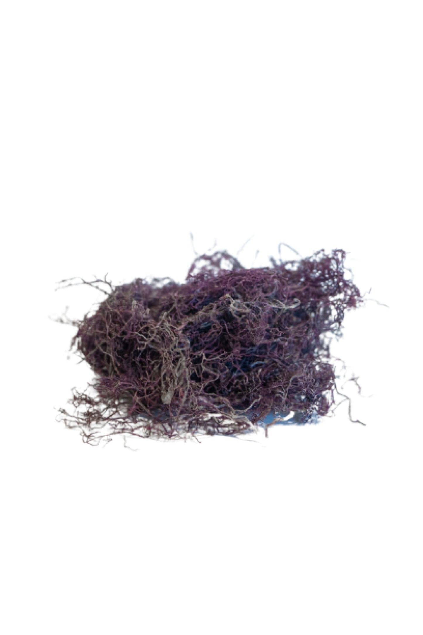 Dry Ogo