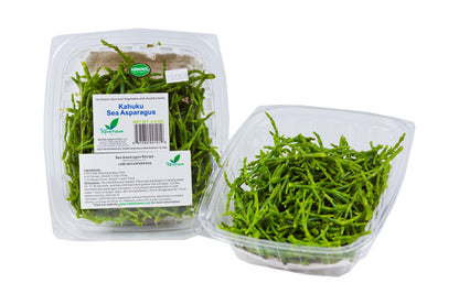 Fresh Sea Asparagus